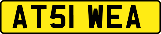 AT51WEA