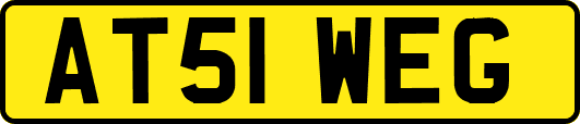 AT51WEG