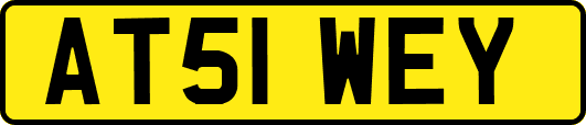 AT51WEY