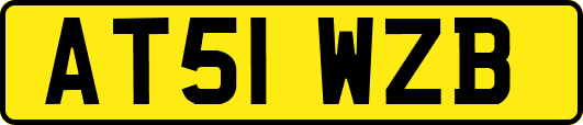 AT51WZB