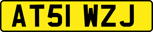AT51WZJ