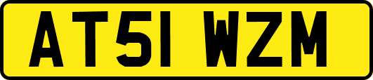 AT51WZM