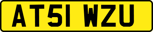 AT51WZU