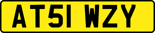 AT51WZY