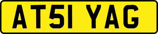 AT51YAG