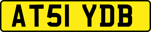 AT51YDB