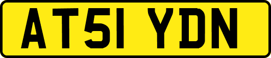 AT51YDN