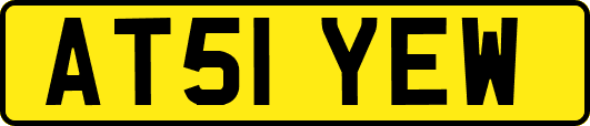 AT51YEW