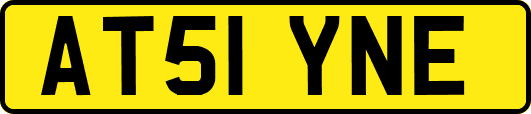 AT51YNE