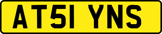 AT51YNS