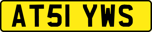 AT51YWS