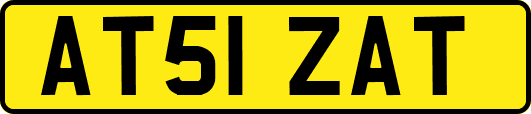 AT51ZAT