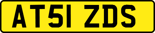 AT51ZDS