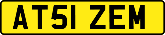 AT51ZEM