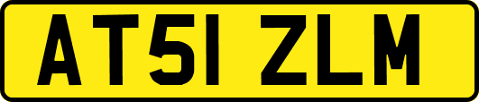 AT51ZLM