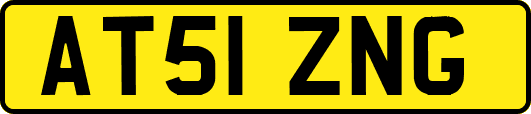 AT51ZNG
