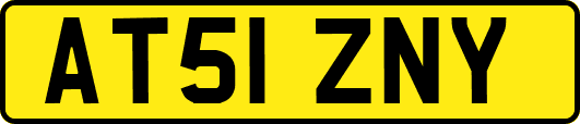 AT51ZNY
