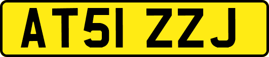 AT51ZZJ