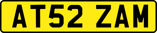AT52ZAM