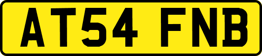AT54FNB