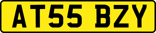 AT55BZY