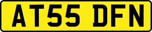 AT55DFN