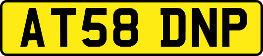 AT58DNP