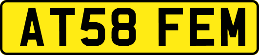 AT58FEM