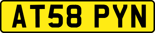 AT58PYN