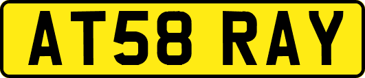 AT58RAY