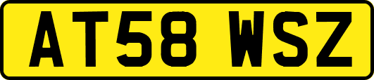 AT58WSZ