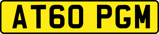 AT60PGM