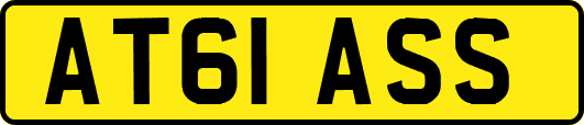 AT61ASS