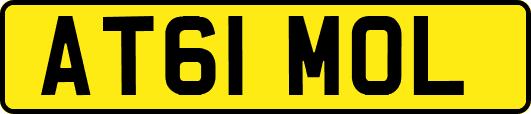 AT61MOL