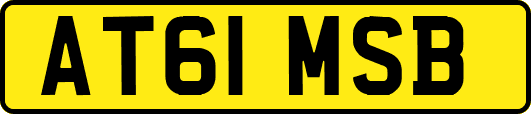AT61MSB