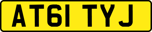AT61TYJ