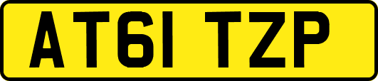 AT61TZP