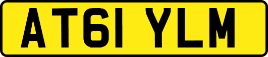 AT61YLM