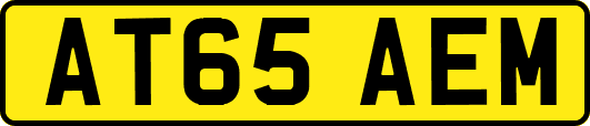 AT65AEM