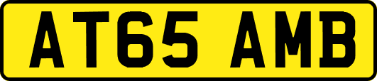 AT65AMB