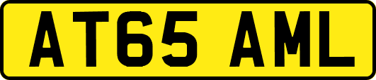 AT65AML