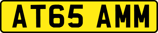 AT65AMM