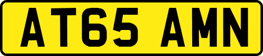 AT65AMN