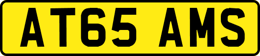 AT65AMS
