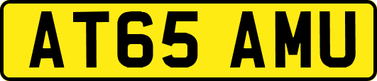 AT65AMU