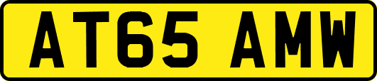 AT65AMW