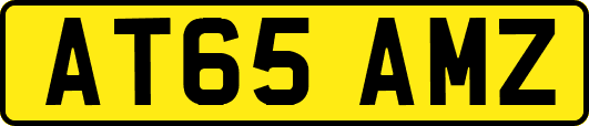 AT65AMZ