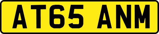 AT65ANM