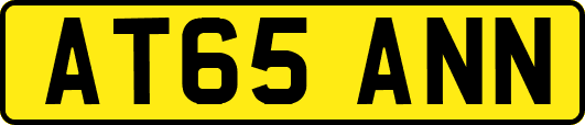 AT65ANN