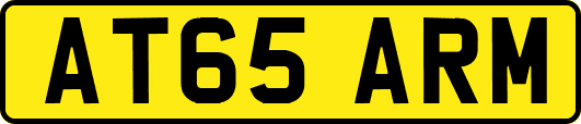 AT65ARM